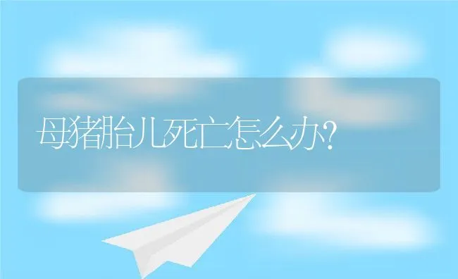 母猪胎儿死亡怎么办？ | 动物养殖学堂