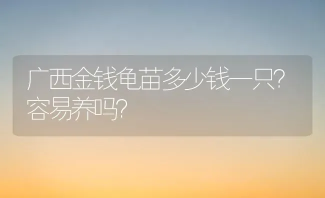 狗狗13岁相当于人多大岁数？ | 动物养殖问答