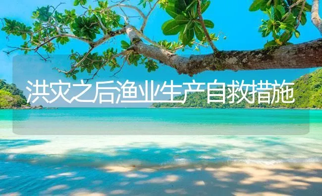 洪灾之后渔业生产自救措施 | 海水养殖技术