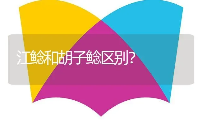 江鲶和胡子鲶区别？ | 鱼类宠物饲养