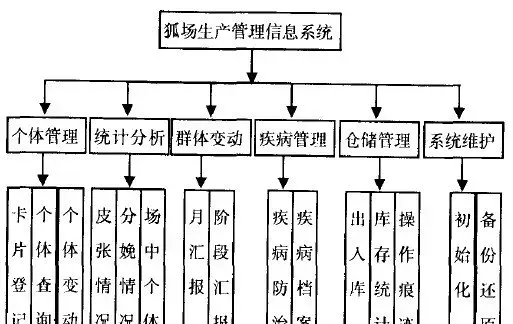 狐狸养殖场生产管理信息系统的设计与应用