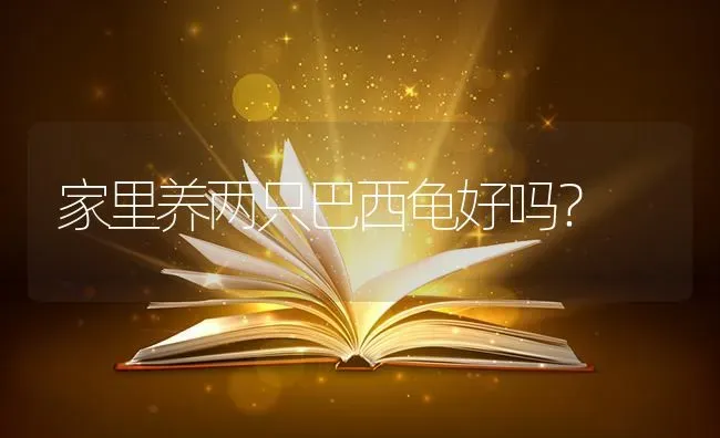 家里养两只巴西龟好吗？ | 动物养殖问答