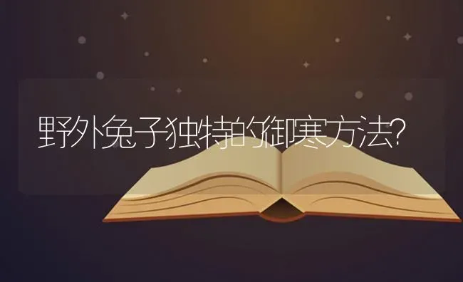 野外兔子独特的御寒方法？ | 动物养殖问答