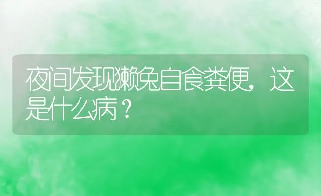 夜间发现獭兔自食粪便，这是什么病？ | 水产养殖知识