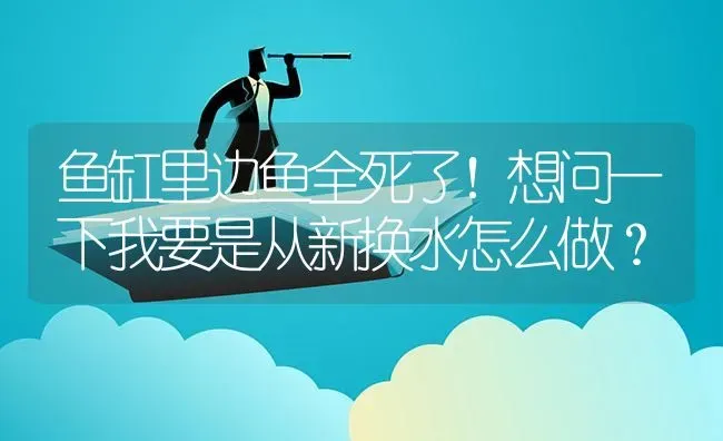 鱼缸里边鱼全死了！想问一下我要是从新换水怎么做？ | 鱼类宠物饲养