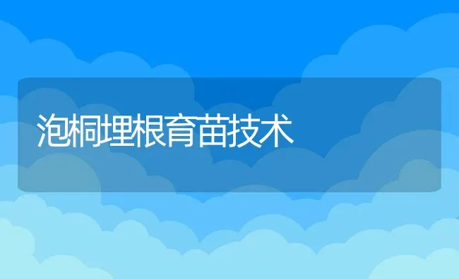 泡桐埋根育苗技术 | 动物养殖饲料