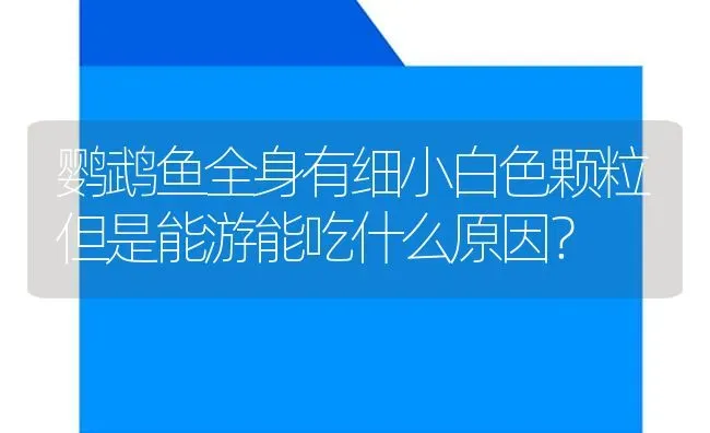 鹦鹉鱼全身有细小白色颗粒但是能游能吃什么原因？ | 鱼类宠物饲养