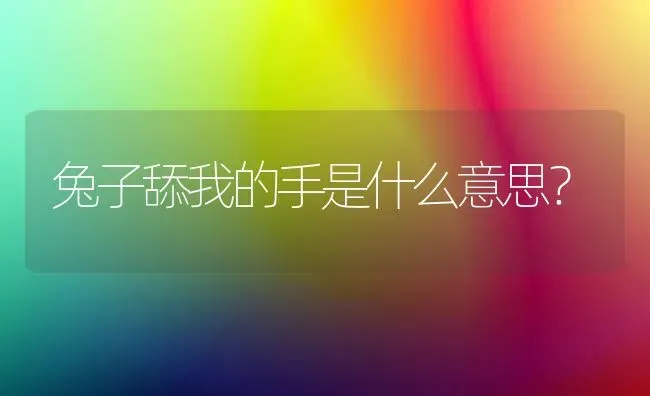 兔子舔我的手是什么意思？ | 动物养殖问答