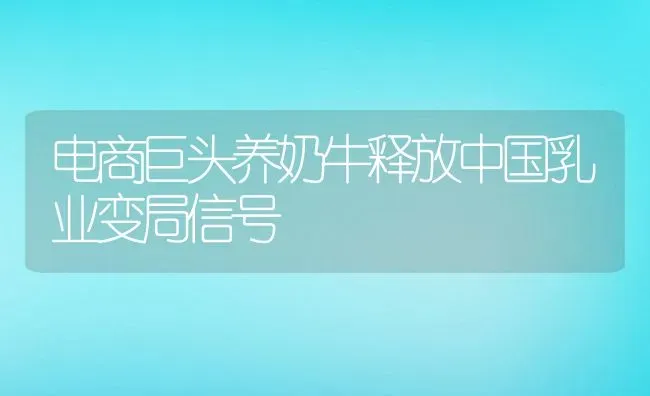 电商巨头养奶牛释放中国乳业变局信号 | 动物养殖教程