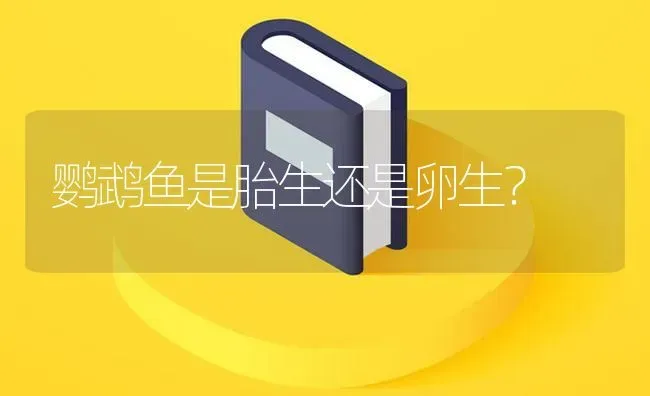 鹦鹉鱼是胎生还是卵生？ | 鱼类宠物饲养