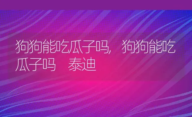 狗狗能吃瓜子吗,狗狗能吃瓜子吗 泰迪 | 宠物百科知识