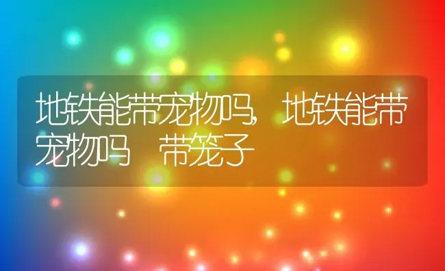 地铁能带宠物吗,地铁能带宠物吗 带笼子 | 宠物百科知识