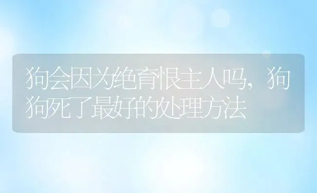 狗会因为绝育恨主人吗,狗狗死了最好的处理方法 | 宠物百科知识