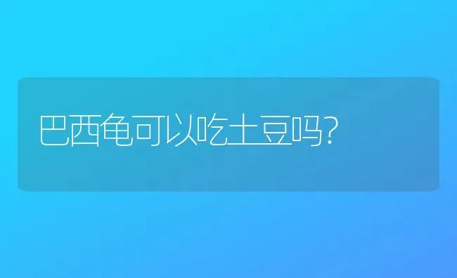 巴西龟可以吃土豆吗？ | 动物养殖问答