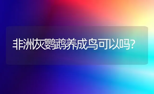 拉布拉多能不能捕猎,耐力怎么样？ | 动物养殖问答