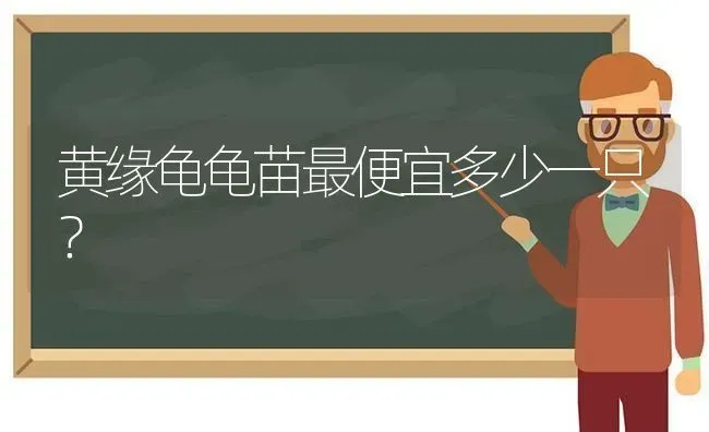 蓝氏和卫仕猫粮怎么样？ | 动物养殖问答