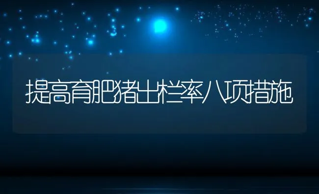 提高育肥猪出栏率八项措施 | 动物养殖饲料