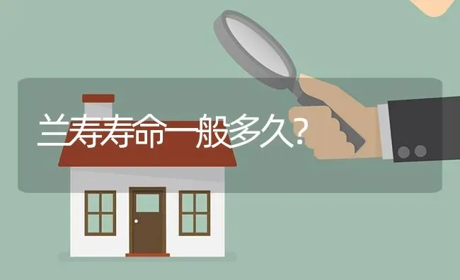 保质期最久的鱼？ | 鱼类宠物饲养