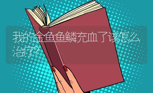 我的金鱼鱼鳞充血了该怎么治疗？ | 鱼类宠物饲养