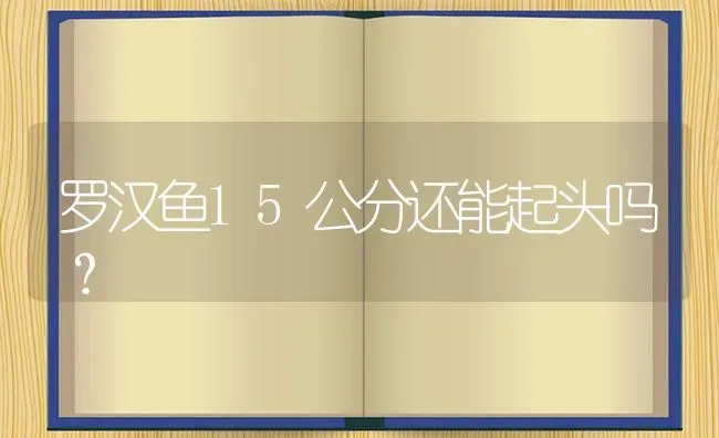 罗汉鱼15公分还能起头吗？ | 鱼类宠物饲养