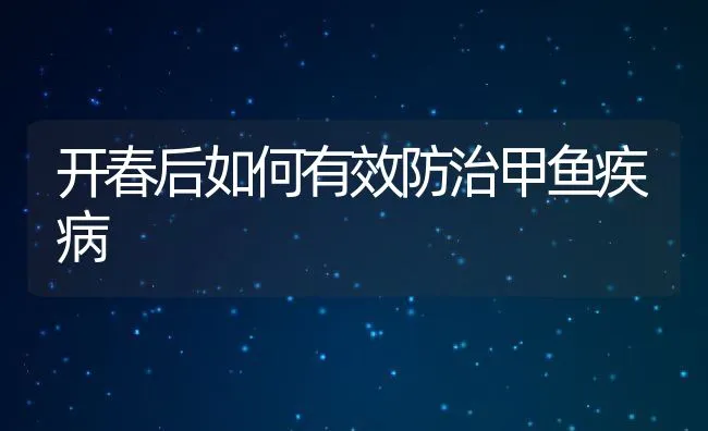 开春后如何有效防治甲鱼疾病 | 水产养殖知识