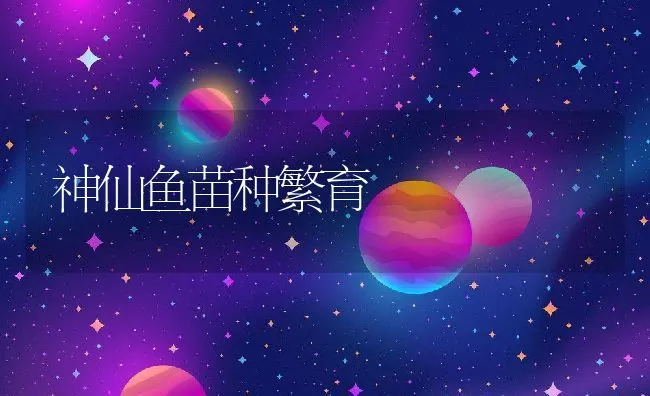 兔毛贮存法 | 动物养殖学堂