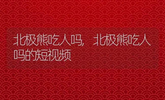 北极熊吃人吗,北极熊吃人吗的短视频 | 宠物百科知识