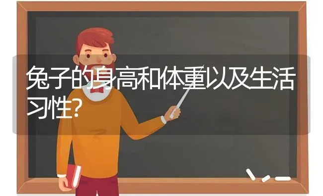 兔子的身高和体重以及生活习性？ | 动物养殖问答