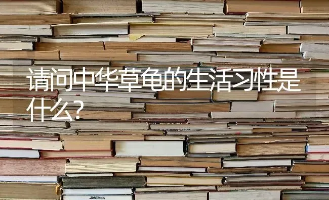 请问中华草龟的生活习性是什么？ | 动物养殖问答