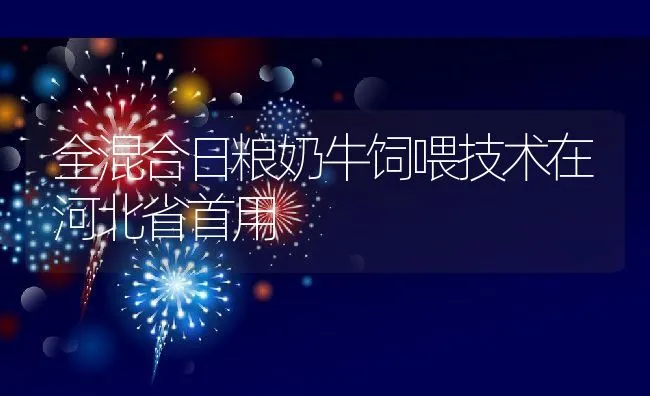 全混合日粮奶牛饲喂技术在河北省首用 | 动物养殖饲料