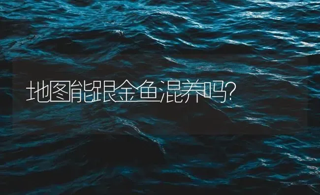 地图能跟金鱼混养吗？ | 鱼类宠物饲养