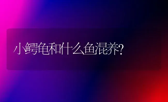 小鳄龟和什么鱼混养？ | 动物养殖问答