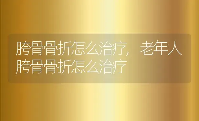 胯骨骨折怎么治疗,老年人胯骨骨折怎么治疗 | 宠物百科知识