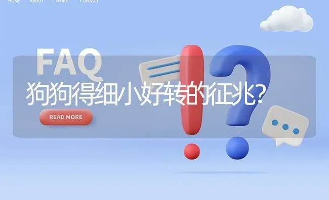 狗狗得细小好转的征兆？ | 动物养殖问答