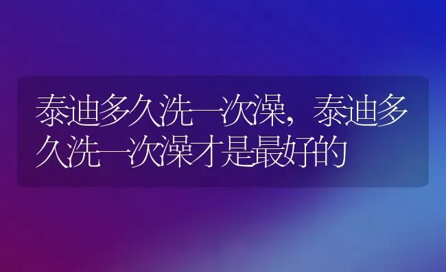 泰迪多久洗一次澡,泰迪多久洗一次澡才是最好的 | 宠物百科知识