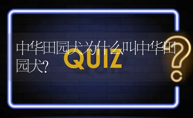 中华田园犬为什么叫中华田园犬？ | 动物养殖问答