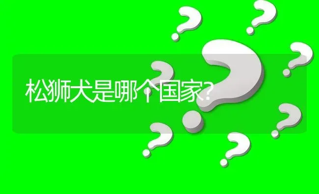 松狮犬是哪个国家？ | 动物养殖问答