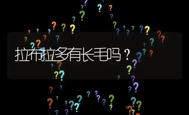 拉布拉多有长毛吗？ | 动物养殖问答