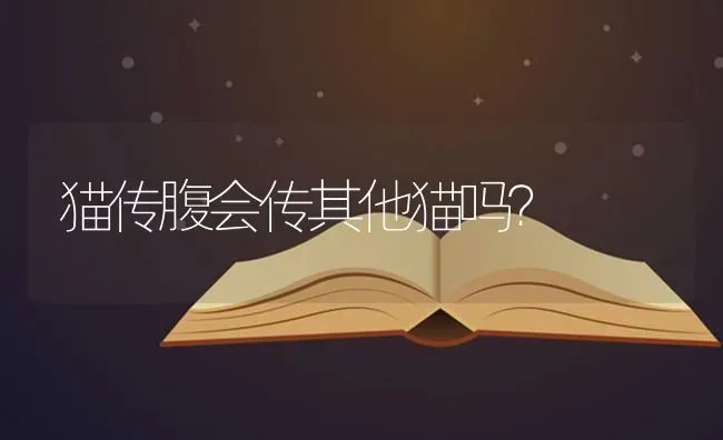 猫传腹会传其他猫吗？ | 动物养殖问答