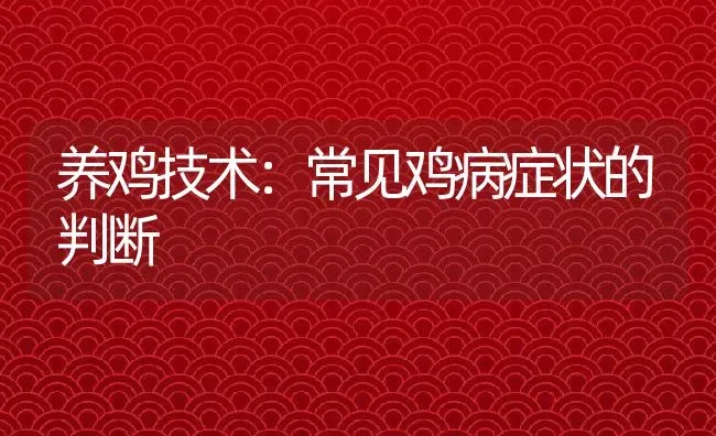 养鸡技术：常见鸡病症状的判断 | 动物养殖百科