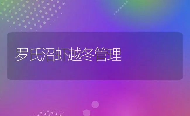 罗氏沼虾越冬管理 | 动物养殖饲料