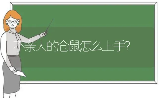 不亲人的仓鼠怎么上手？ | 动物养殖问答