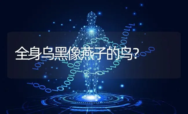 细小好了拉酱色的怎么回事？ | 动物养殖问答