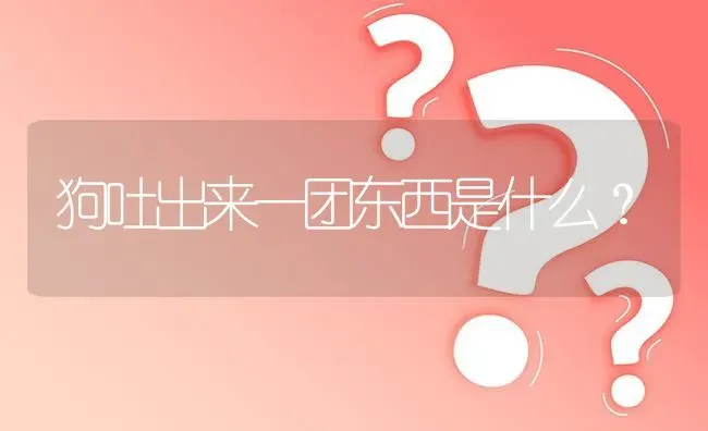 狗吐出来一团东西是什么？ | 动物养殖问答