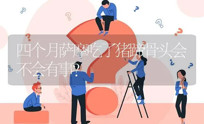 四个月萨摩吃了猪蹄骨头会不会有事？ | 动物养殖问答