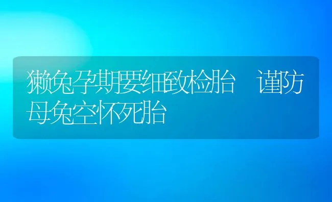 獭兔孕期要细致检胎 谨防母兔空怀死胎 | 动物养殖学堂