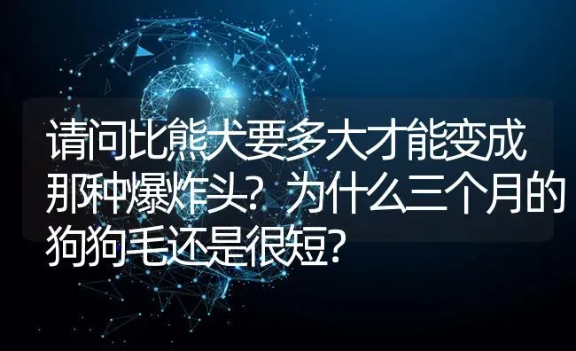 请问比熊犬要多大才能变成那种爆炸头?为什么三个月的狗狗毛还是很短？ | 动物养殖问答