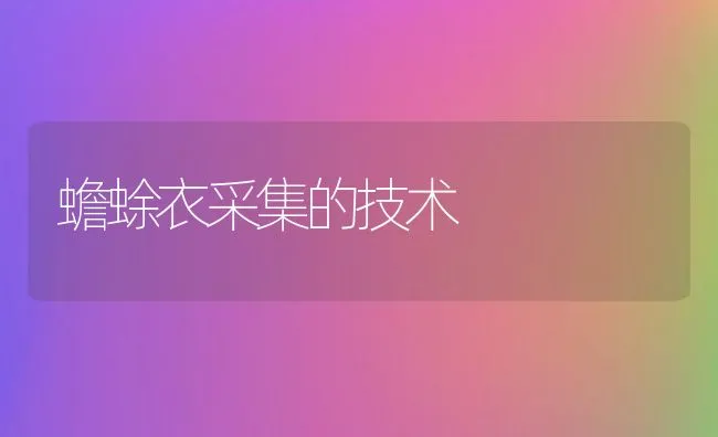 蟾蜍衣采集的技术 | 动物养殖学堂