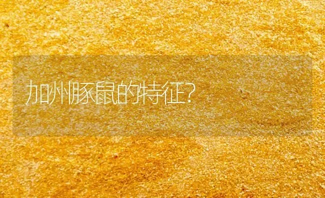 加州豚鼠的特征？ | 动物养殖问答