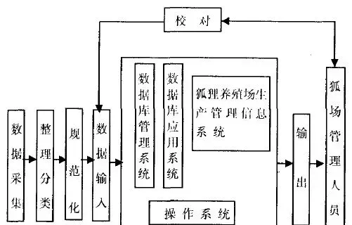 狐狸养殖场生产管理信息系统的设计与应用